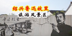 鸡巴插骚逼网站中国绍兴-鲁迅故里旅游风景区